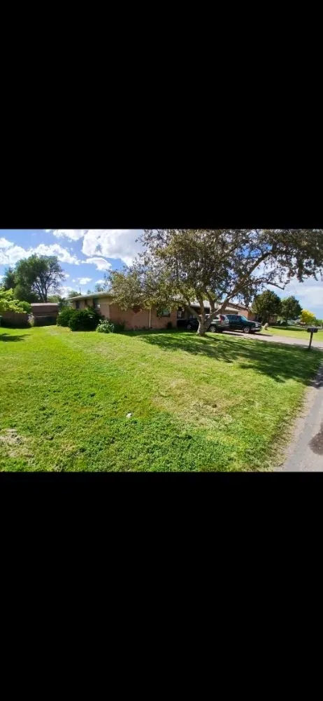 Local yard maintenance with custom design across Denver, CO - AD Landscape