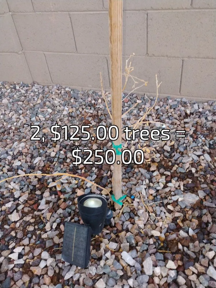 Expert lawn mowing service experts serving Gilbert, AZ - A&D Landscape