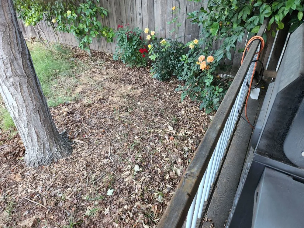 Professional landscaping services in Sacramento, CA - AD Landscape Service