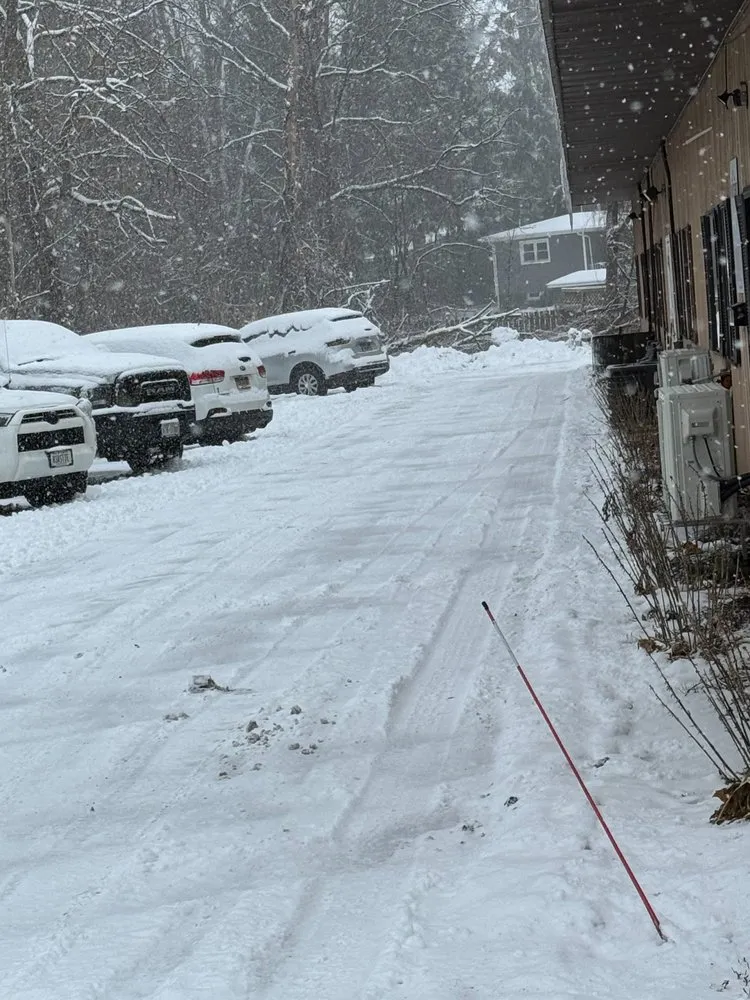 Professional yard cleanup service in Syracuse, NY by A&D Landscaping and Snow Removal