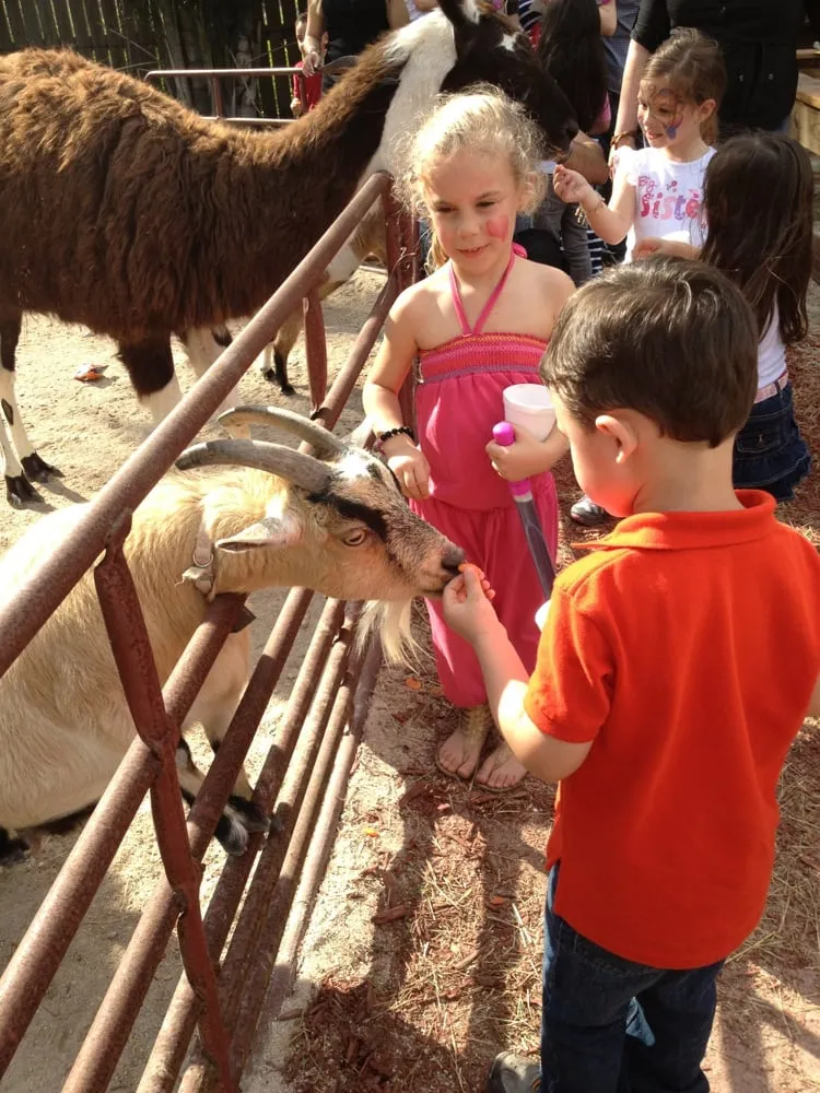 Expert landscaping services in Fort Lauderdale, FL by A&D Landscaping