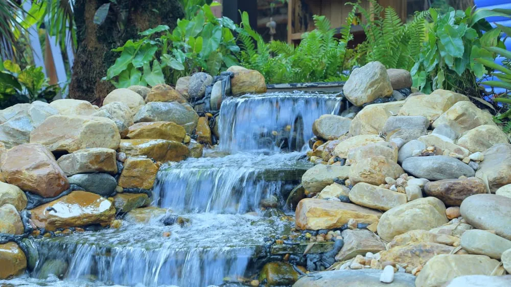 Professional yard cleanup service in Fort Lauderdale, FL - A&D Landscaping