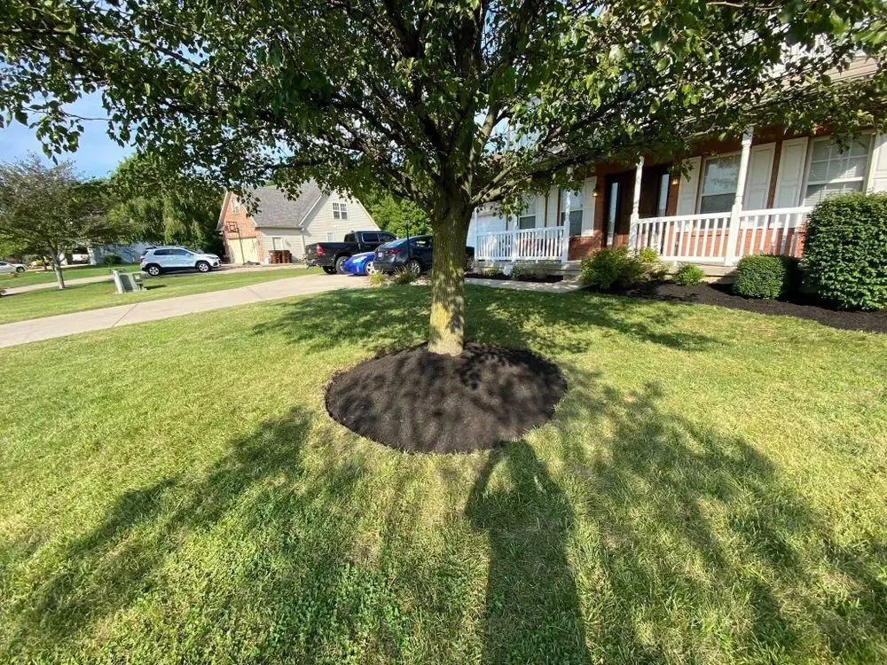 Affordable yard cleanup service near you across Liberty Township, OH - A&D Landscaping