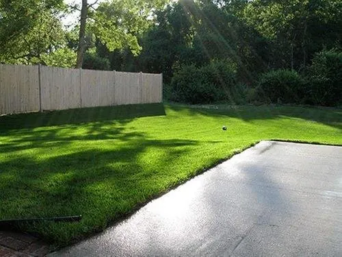 Reliable yard cleanup service in Natick, MA by A&D Landscaping, Paving & Excavation