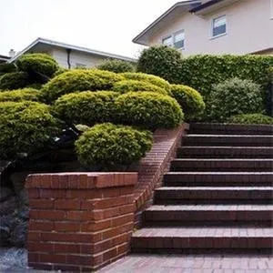 Custom yard cleanup service experts serving Natick, MA - A&D Landscaping, Paving & Excavation