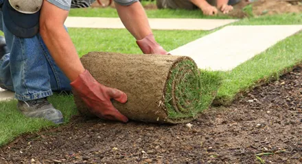 Top-rated garden landscaping in Natick, MA by A&D Landscaping, Paving & Excavation