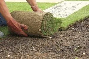 Professional yard cleanup service for outdoor upgrades across Natick, MA - A&D Landscaping, Paving & Excavation