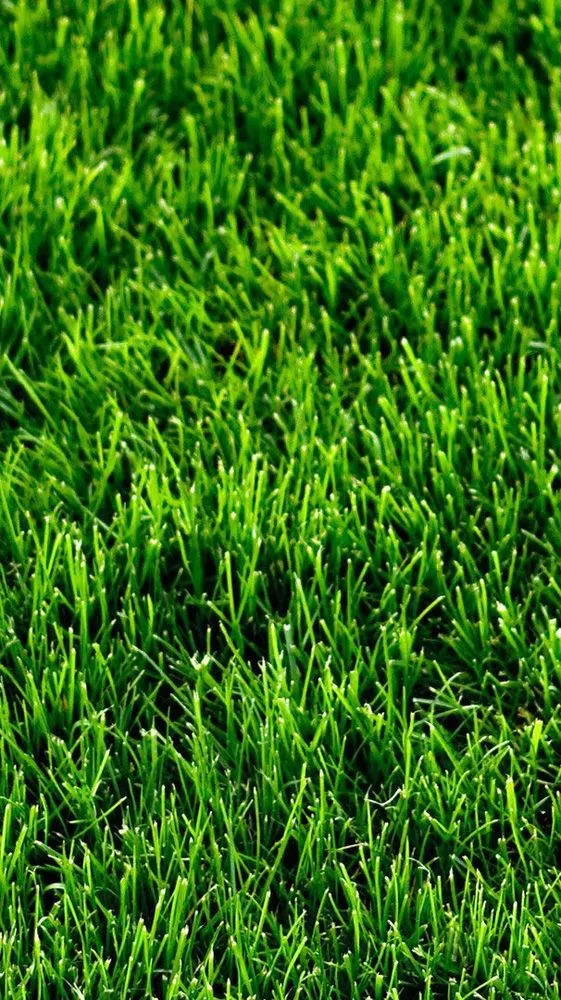 Top-rated yard cleanup service for year-round maintenance across Reading, PA - A&D Landscaping