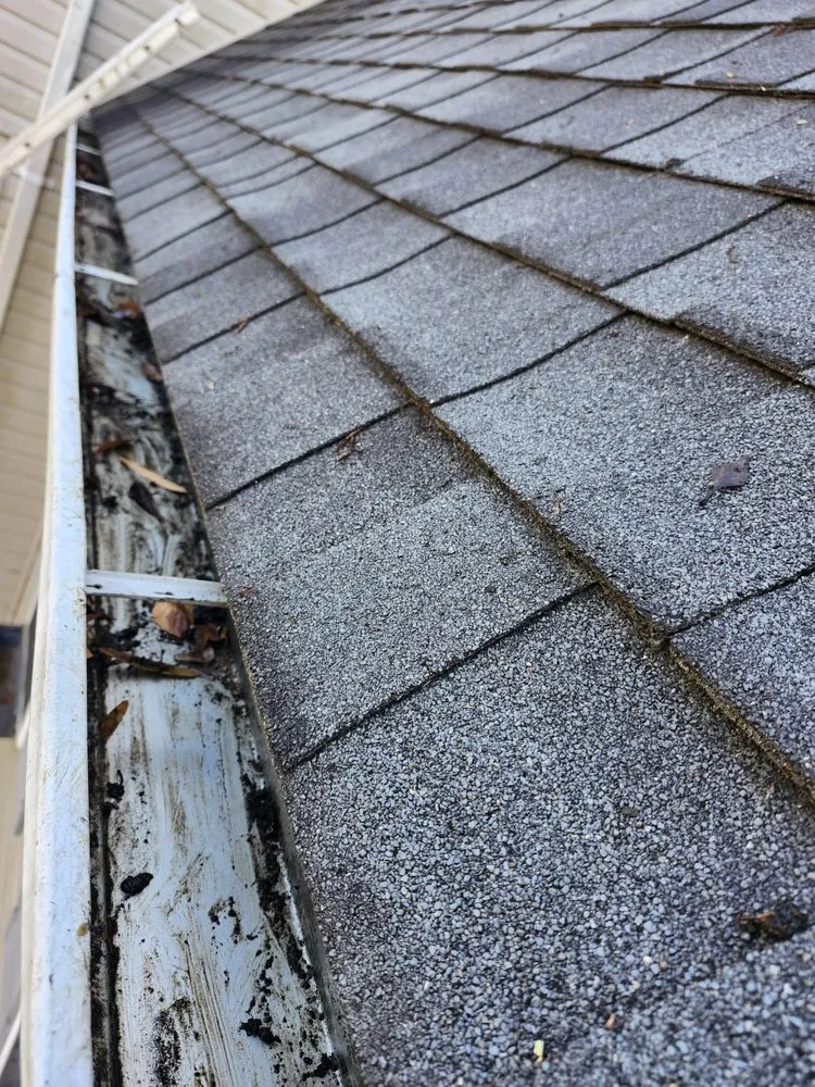 Custom landscape installation with custom design in Spotsylvania, VA by A&D Landscaping