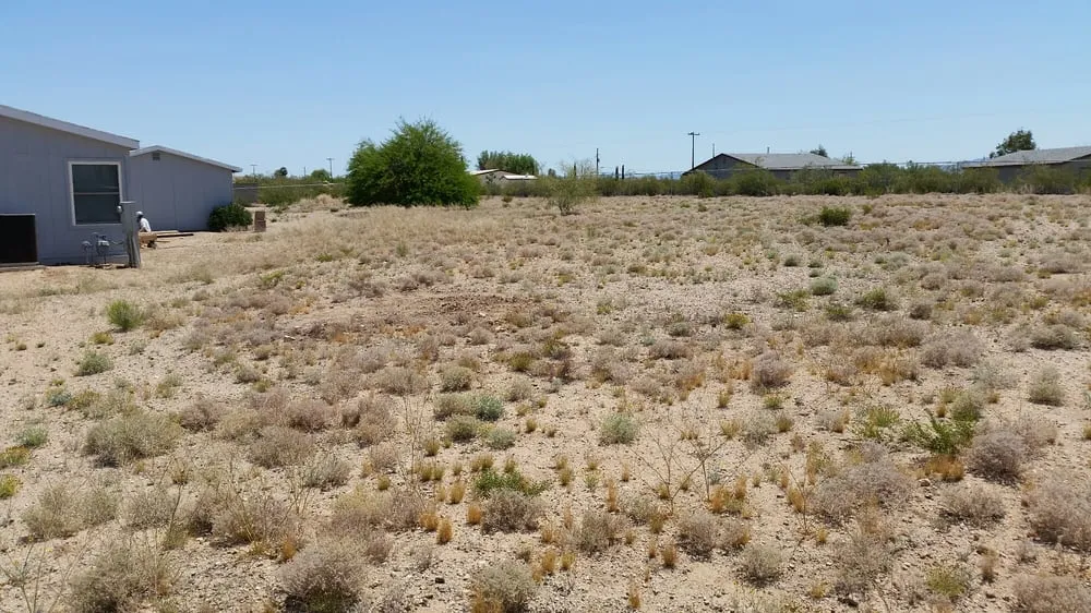 Expert landscape installation for beautiful yards across Tucson, AZ - A.D. Landscaping
