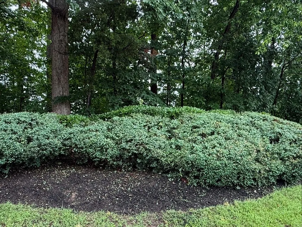 Professional lawn mowing service in Tysons, VA by A.D Landscaping