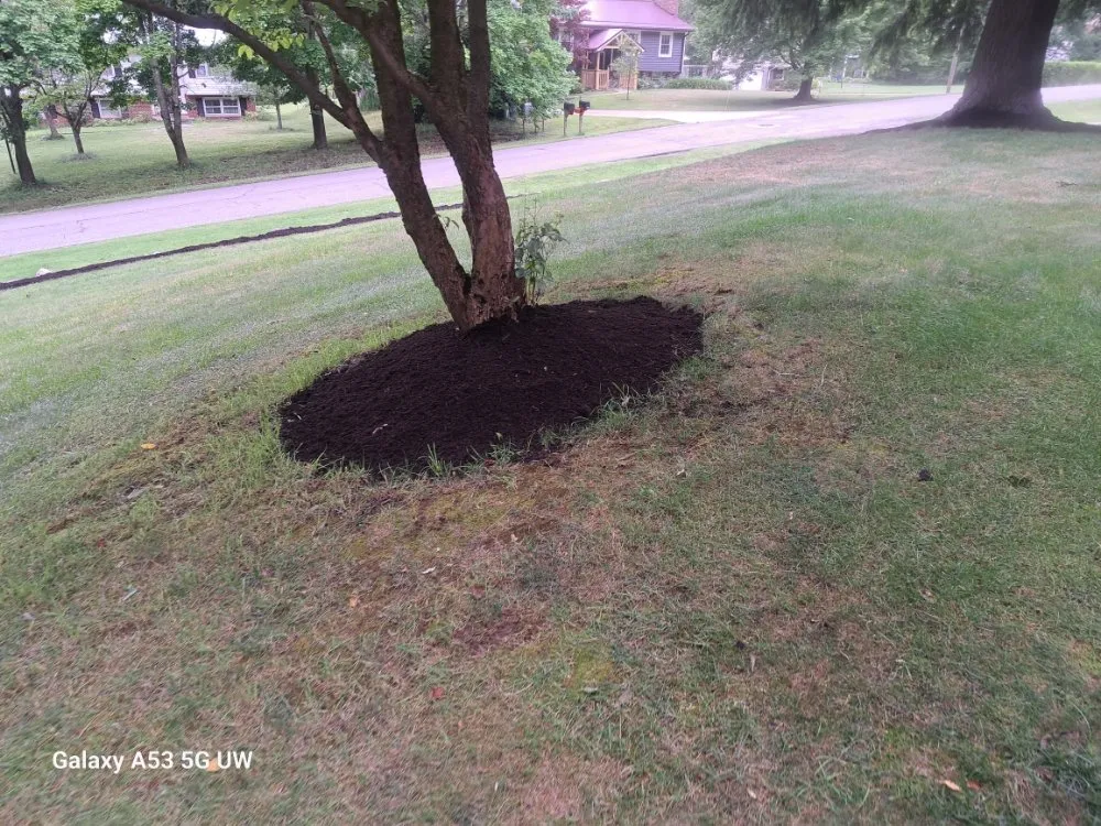 Trusted yard maintenance in Union City, PA - A&D Landscaping