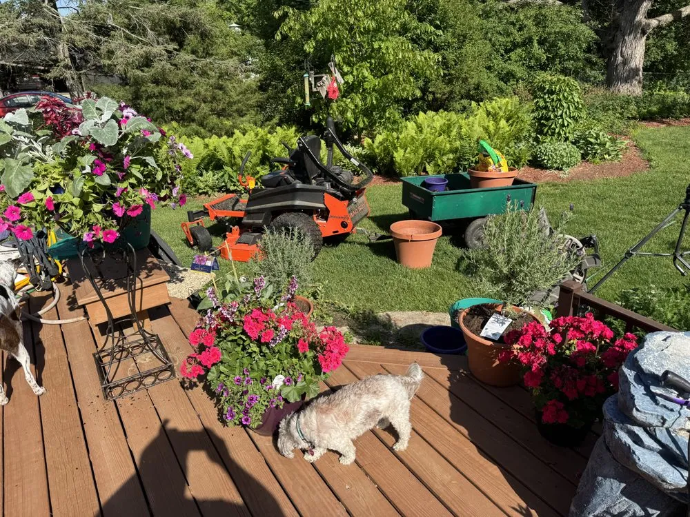 Expert landscaping services experts serving Leaf River, IL - AD Lawn and Land Care