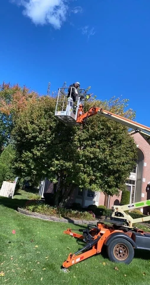 Custom lawn mowing service in Warren, MI - A&d Lawn And Tree