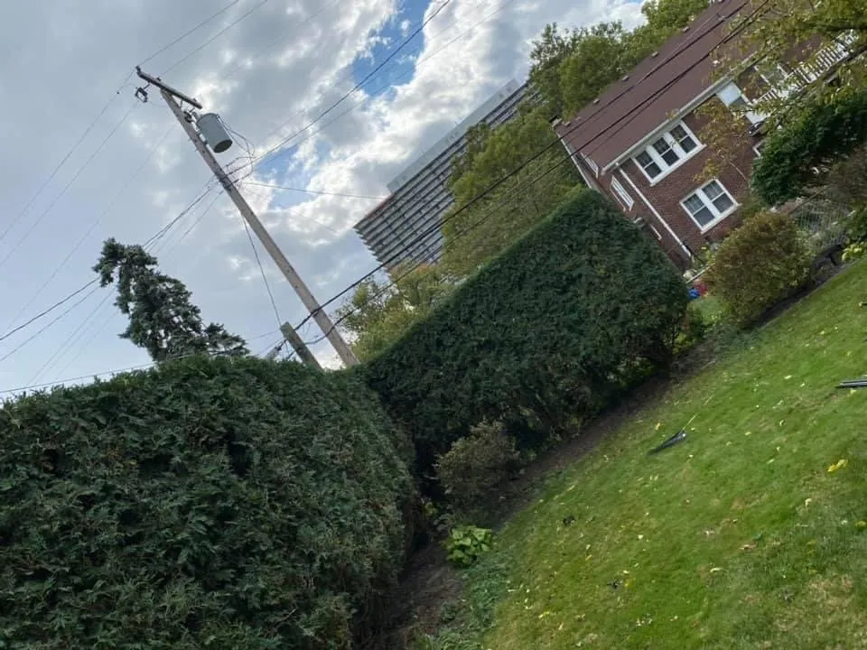 Top-rated yard cleanup service in Warren, MI - A&d Lawn And Tree