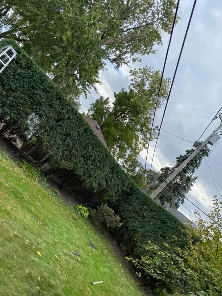 Expert outdoor landscaping experts serving Warren, MI - A&d Lawn And Tree