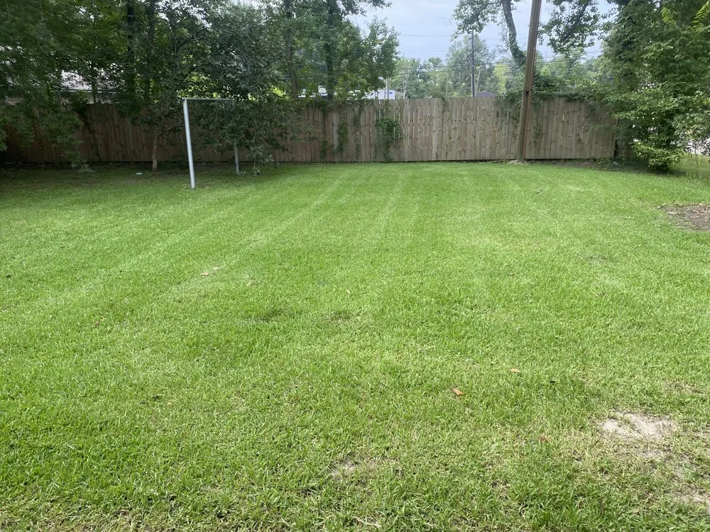 Affordable landscape design for year-round maintenance in Baton Rouge, LA by A&D Lawn Care
