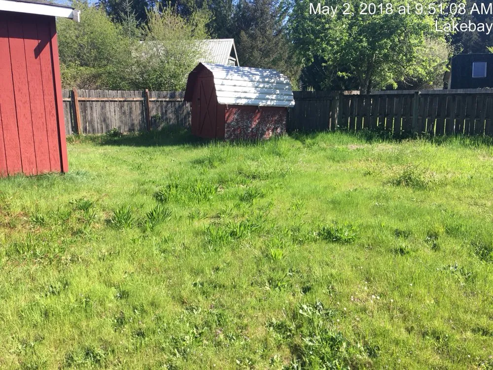 Professional yard cleanup service in Gig Harbor, WA by A&D Lawn Care