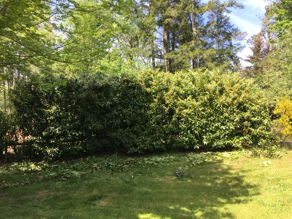 Affordable yard maintenance in Gig Harbor, WA - A&D Lawn Care