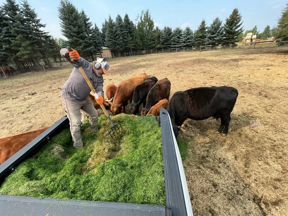 Expert lawn care service experts serving Kalispell, MT - A&D Lawn Care