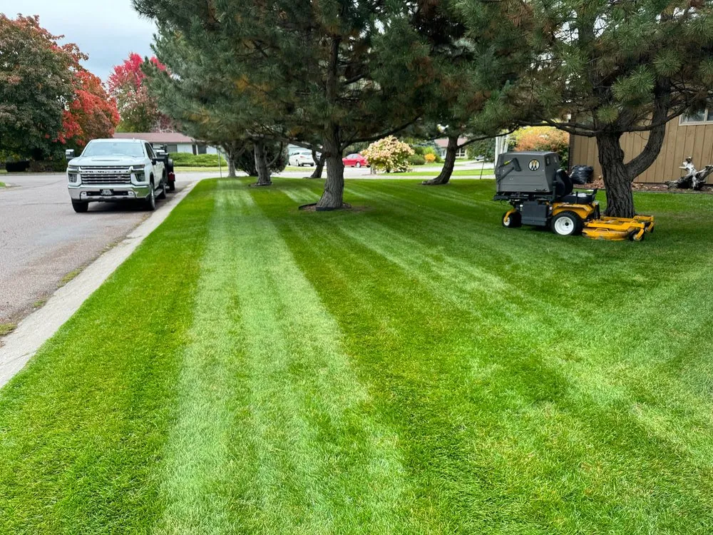 Custom yard cleanup service in Kalispell, MT by A&D Lawn Care