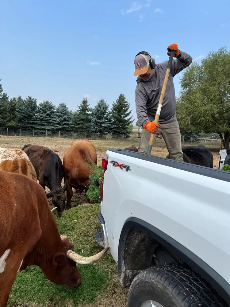 Top-rated lawn mowing service for outdoor upgrades in Kalispell, MT by A&D Lawn Care