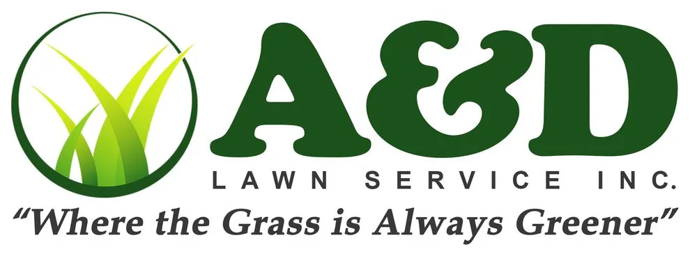 Top-rated yard cleanup service for residential properties in Annandale, VA by A&D Lawn Service