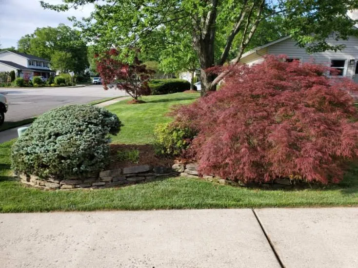 Expert landscape design for beautiful yards in Annandale, VA by A&D Lawn Service