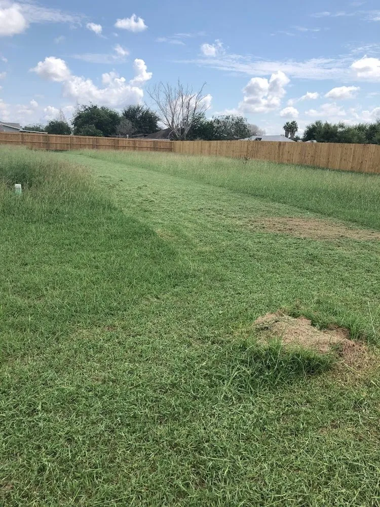 Custom yard cleanup service for year-round maintenance across Mission, TX - A&D LawnServices