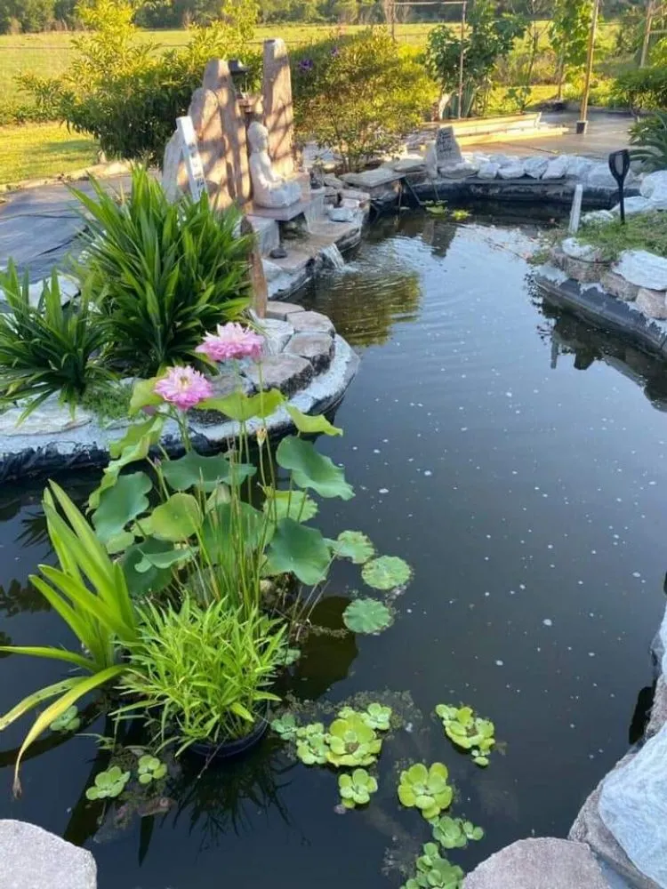 Local outdoor landscaping in Spring Hill, FL by AD New Images Land Clearing