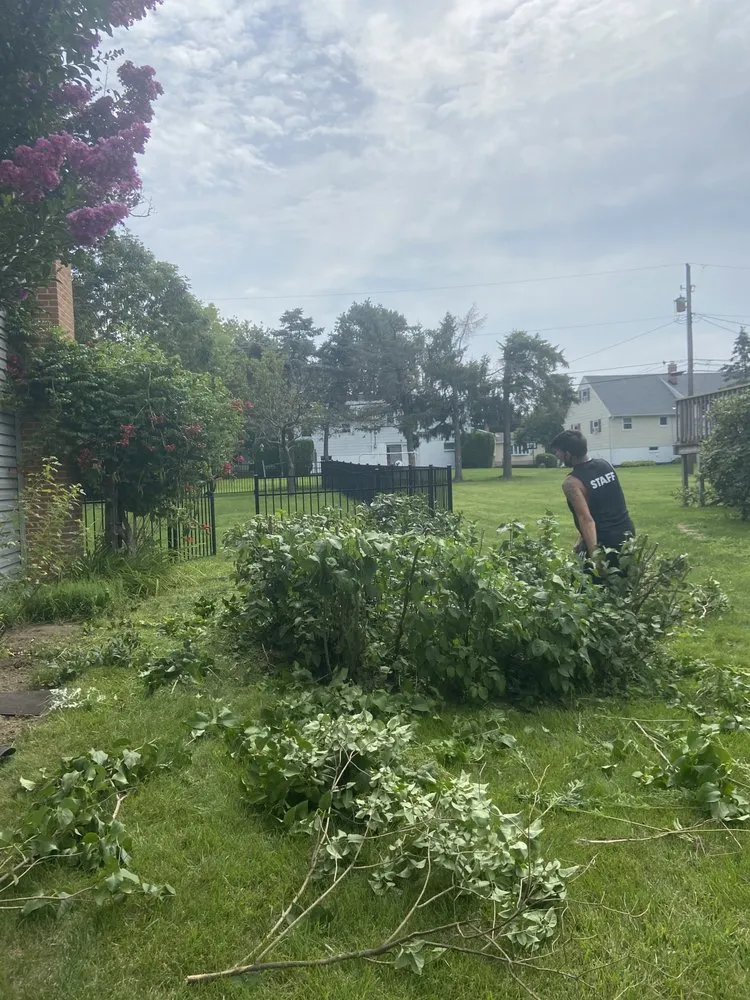 Custom yard cleanup service near you across Harrisburg, PA - A&D Property Care