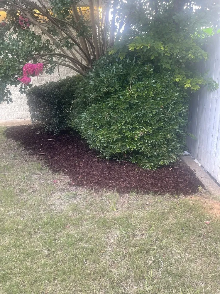 Top-rated lawn mowing service experts serving Eufaula, AL - A&D Property Services