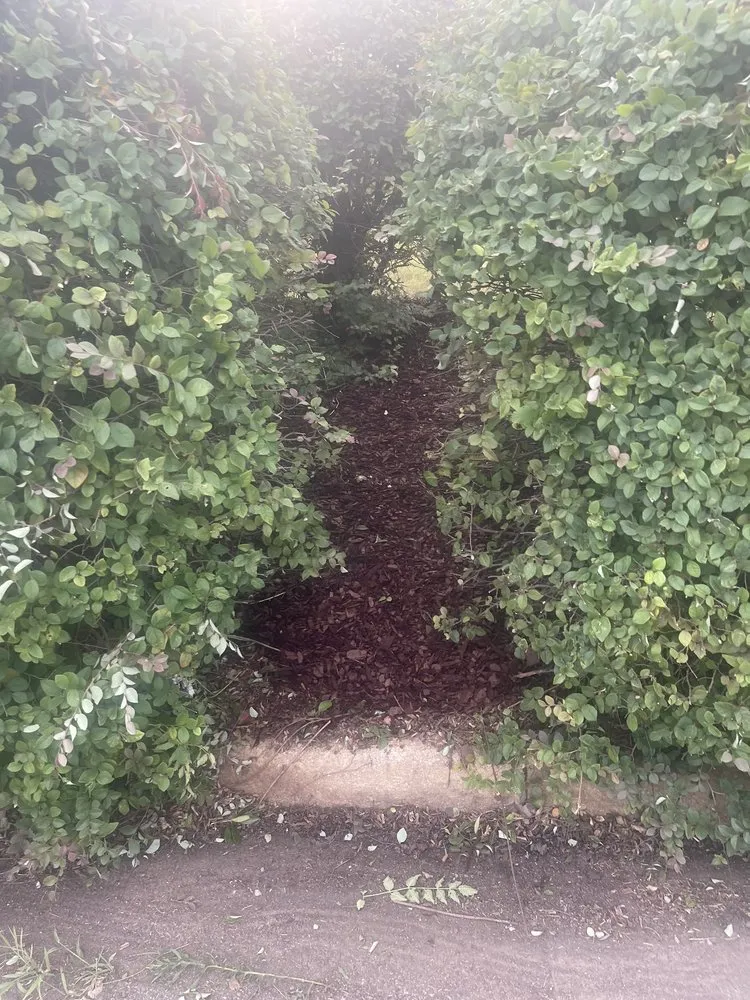 Top-rated landscape installation near you in Eufaula, AL by A&D Property Services