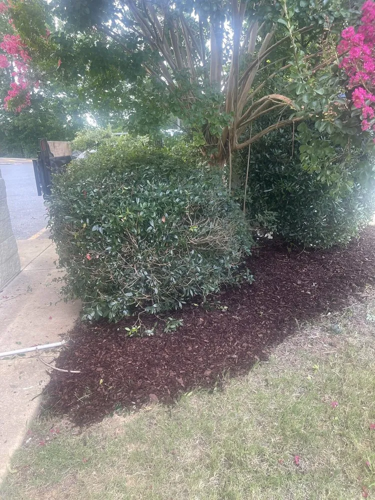 Expert lawn mowing service for beautiful yards across Eufaula, AL - A&D Property Services