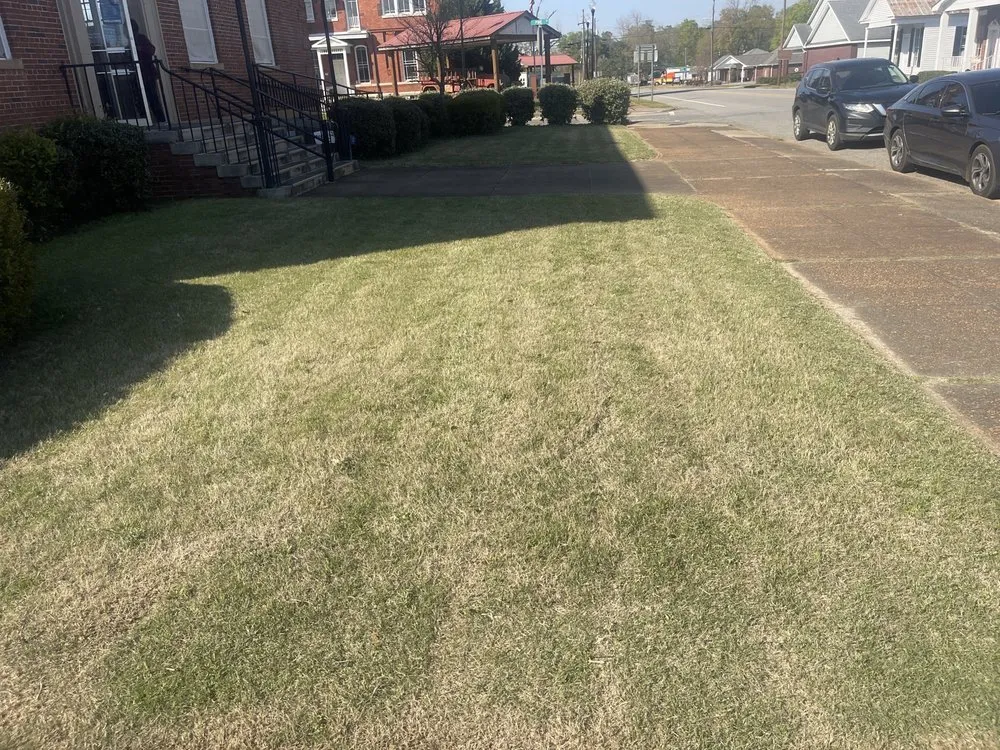 Reliable yard cleanup service for year-round maintenance in Eufaula, AL by A&D Property Services