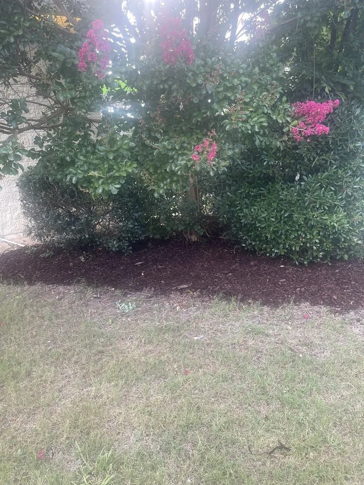 Reliable landscaping services for homes in Eufaula, AL by A&D Property Services
