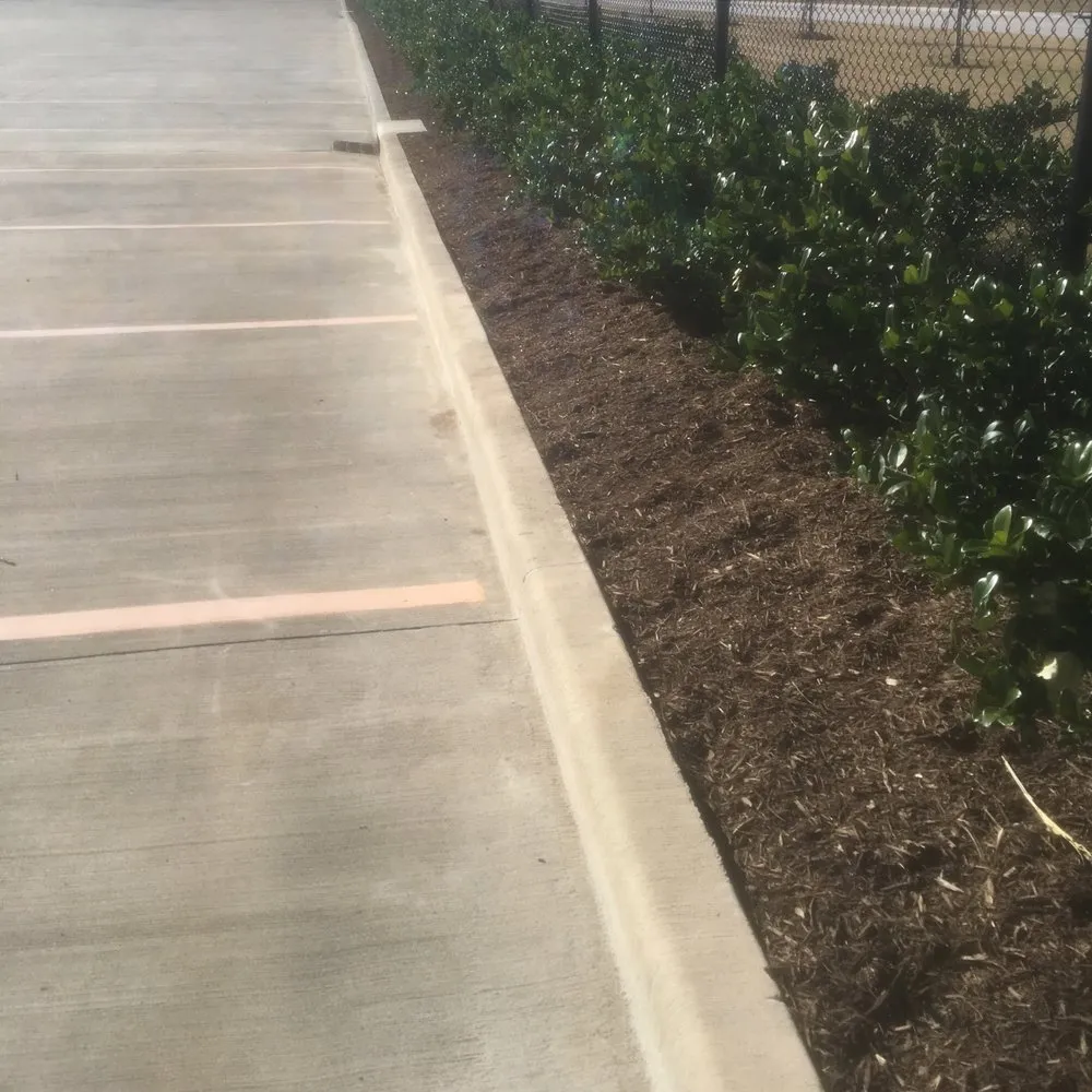 Local yard cleanup service in Houston, TX - A&D Services