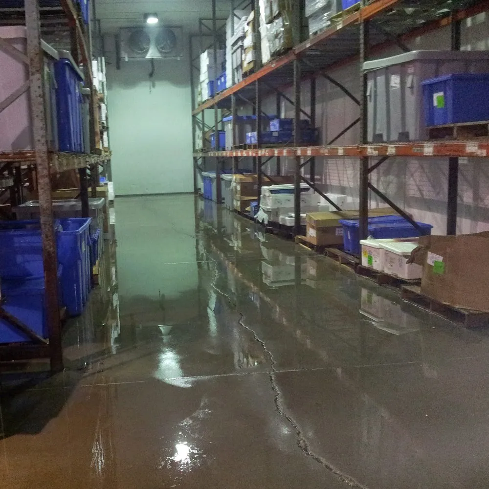 Local residential landscaping in Houston, TX by A&D Services