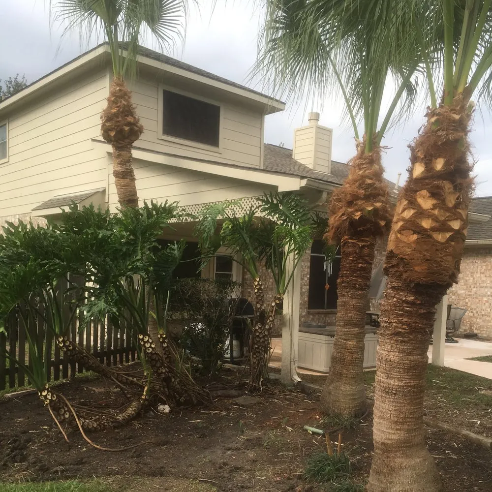 Custom landscaping services near you in Houston, TX by A&D Services