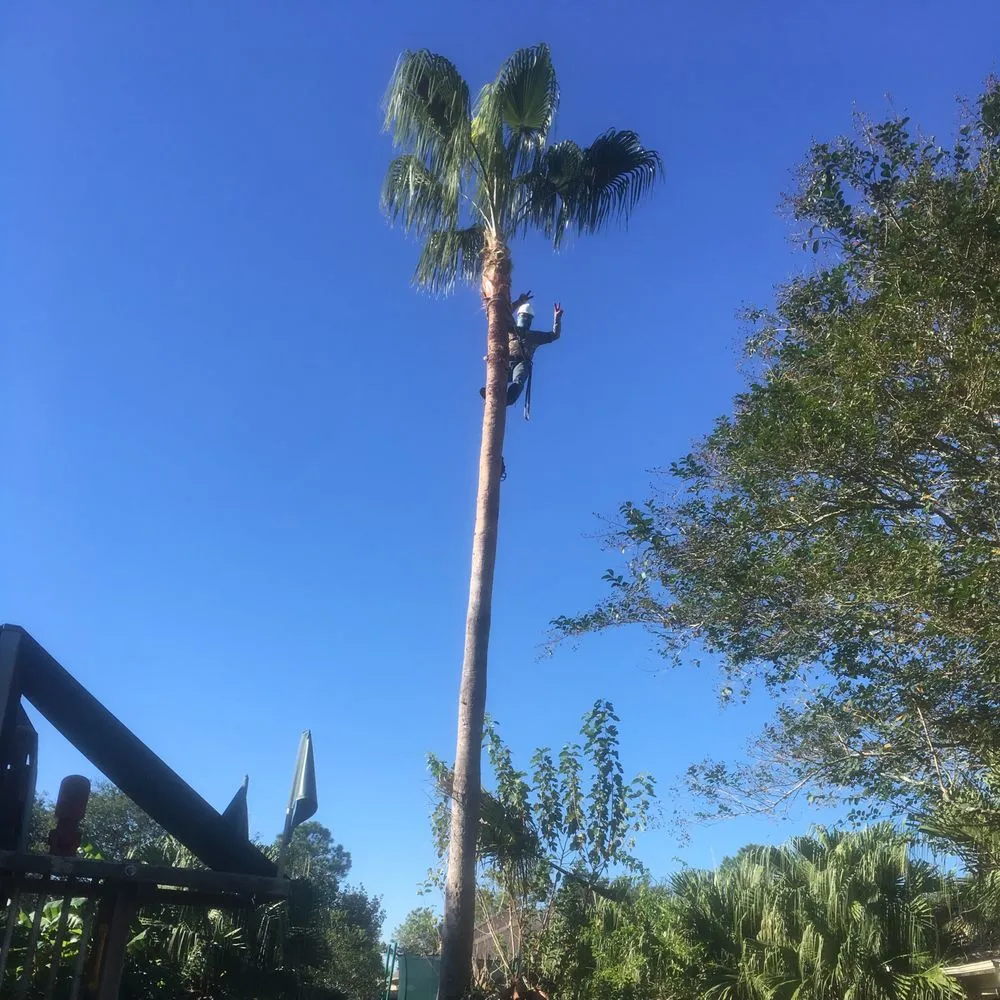 Top-rated lawn care service in Houston, TX - A&D Services