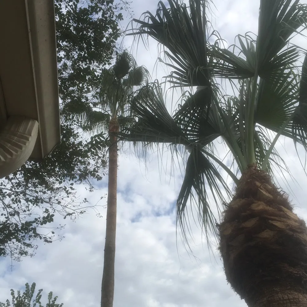 Local garden landscaping in Houston, TX by A&D Services