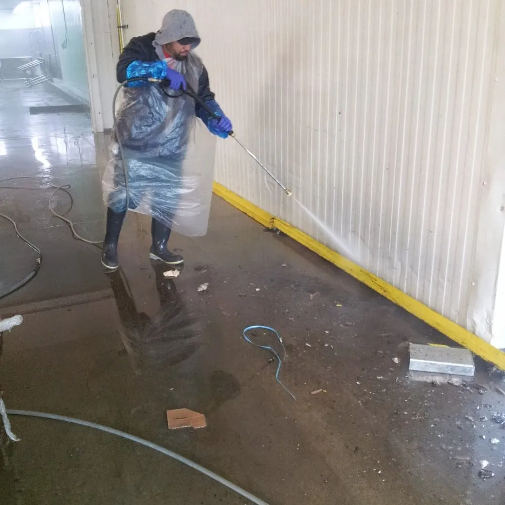 Affordable lawn care service in Houston, TX by A&D Services