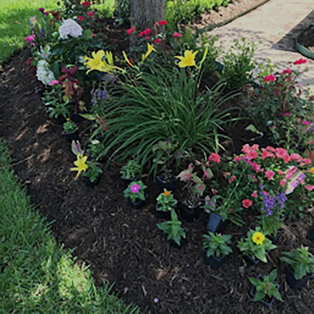 Reliable landscape design in Houston, TX - A&D Services