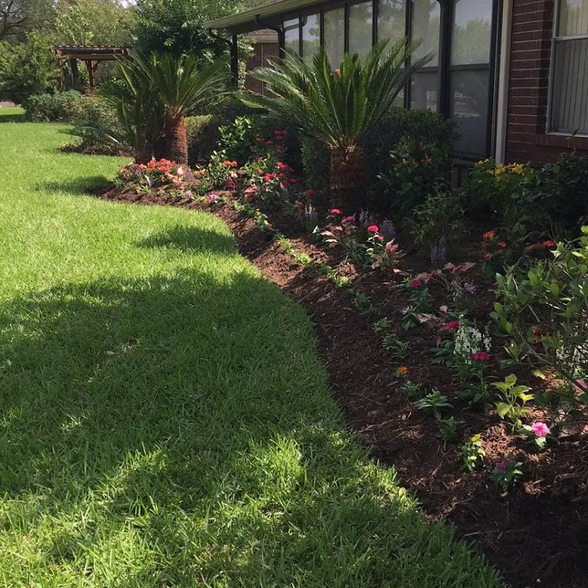 Local yard cleanup service in Houston, TX by A&D Services