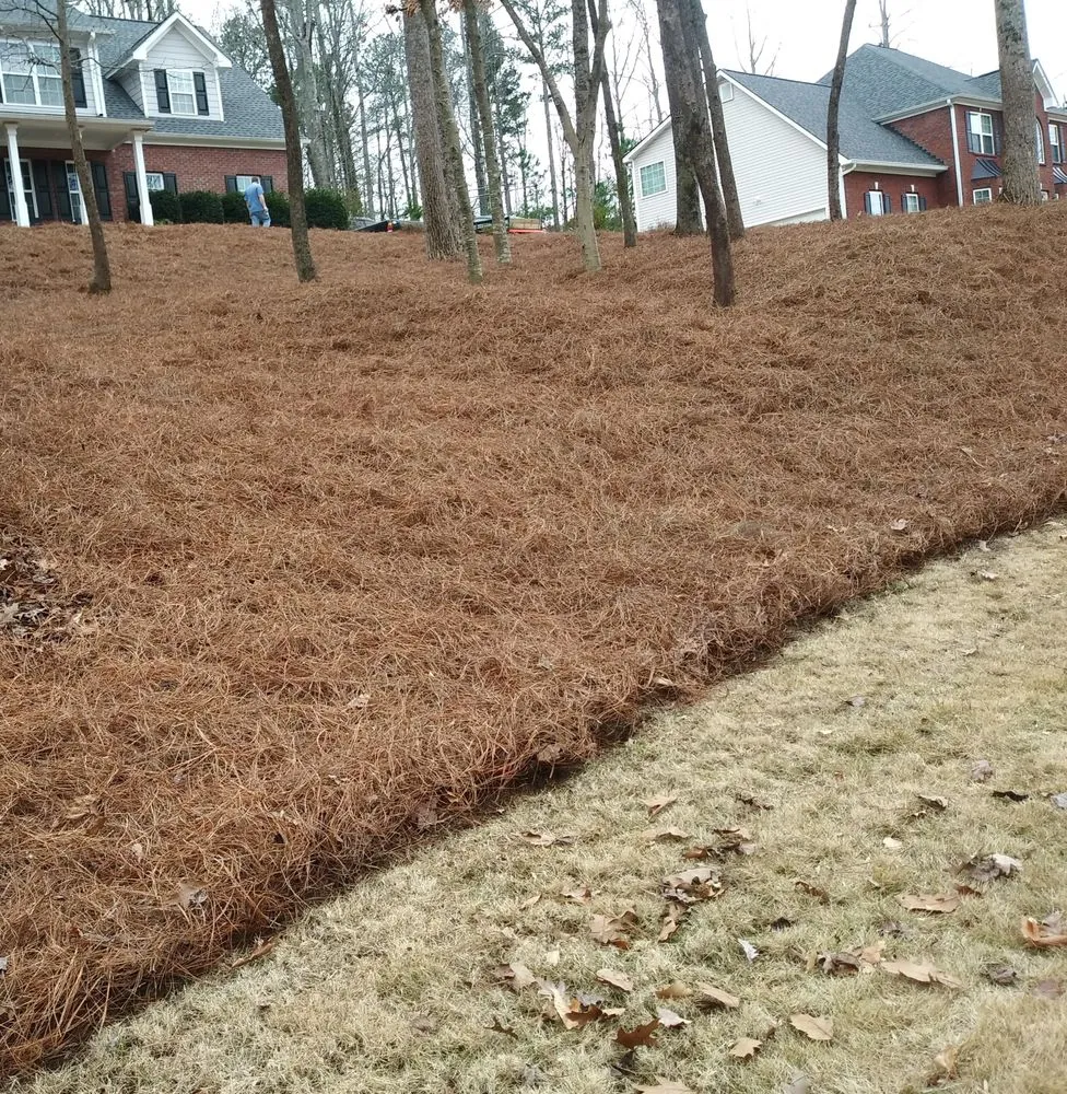 Professional landscaping services in Jefferson, GA by A&D Straw