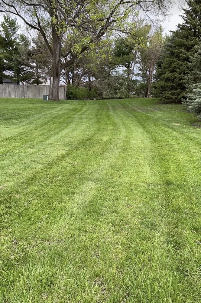 Trusted yard cleanup service near you across Rantoul, IL - A&D Total Lawn Care
