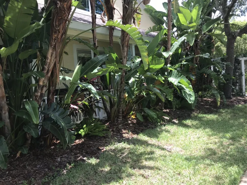 Affordable lawn mowing service with custom design in OLDSMAR, FL by A&D Tree And Landscaping