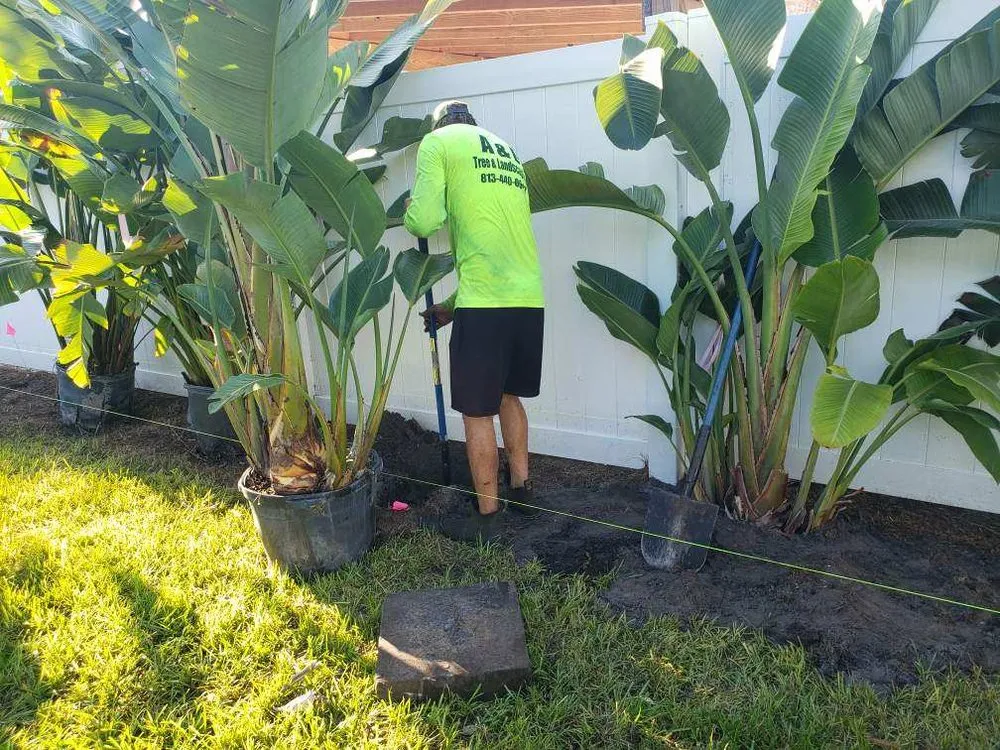 Professional outdoor landscaping for beautiful yards across OLDSMAR, FL - A&D Tree And Landscaping