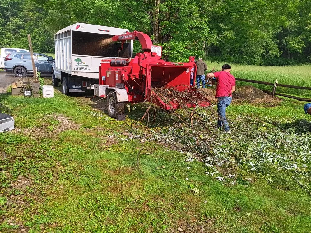 Affordable outdoor landscaping for outdoor upgrades across Buckhannon, WV - AD Tree Services and Lawn Care