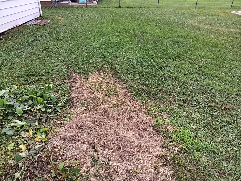 Professional lawn care service experts serving Buckhannon, WV - AD Tree Services and Lawn Care